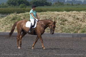 ISIS Dressage Challenge 2008